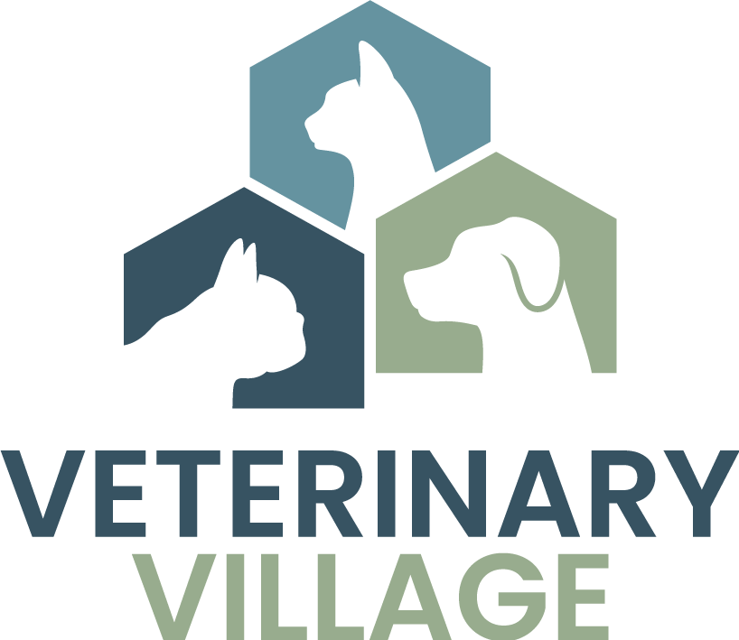 logo of Veterinary Village